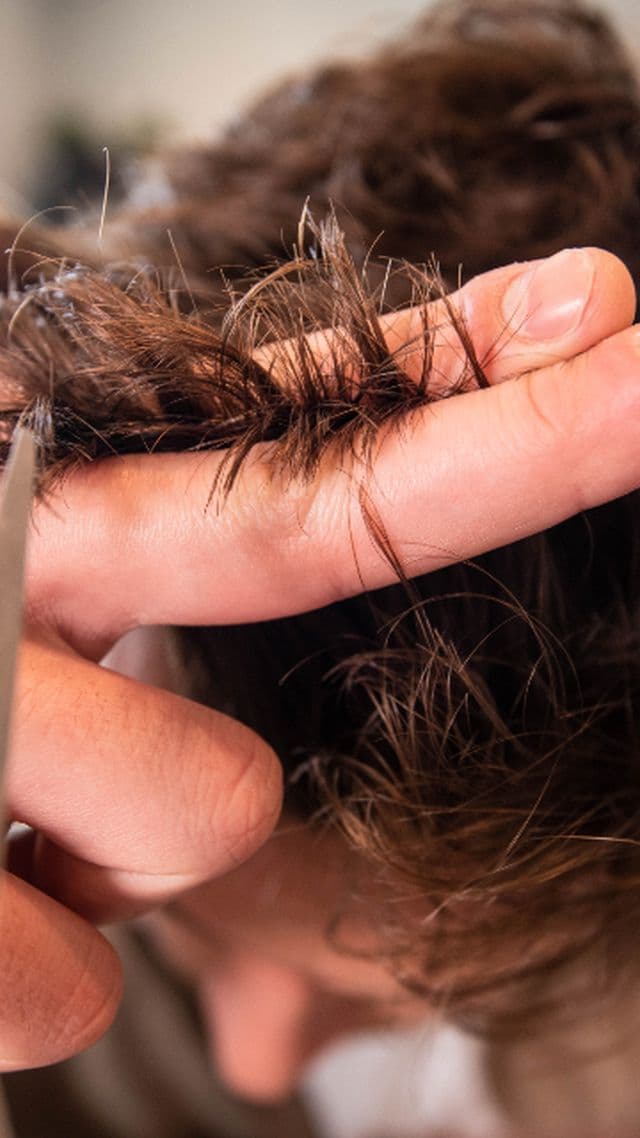 Mechón de pelo castaño sujeto entre los dedos antes del corte